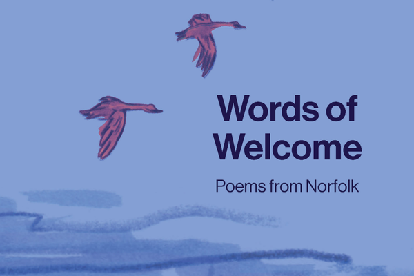 An illustration of geese